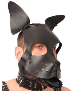 The Red Leather Puppy Dog Mask