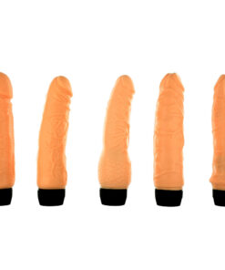 The Magnificent 5 Multi Speed Vibrator Set