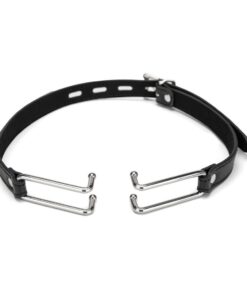 Me You Us Spider Stretch Gag 2