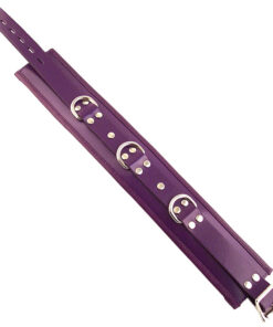 Rouge Garments Purple Padded Collar